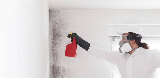 Best Industrial Mold Remediation in Porters Neck, NC